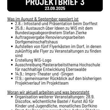 Projektbrief 3 (29.09.25)